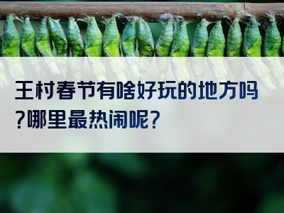 王村春节有啥好玩的地方吗？哪里最热闹呢？