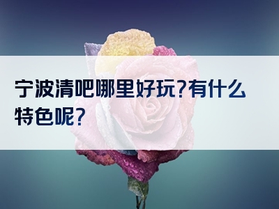 宁波清吧哪里好玩？有什么特色呢？