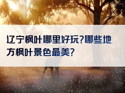 辽宁枫叶哪里好玩？哪些地方枫叶景色最美？