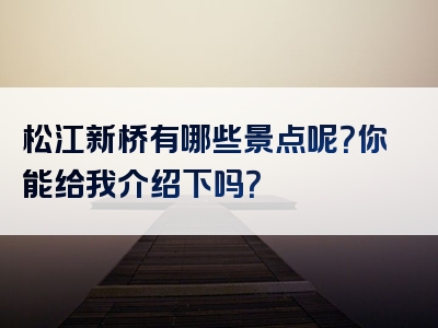 松江新桥有哪些景点呢？你能给我介绍下吗？