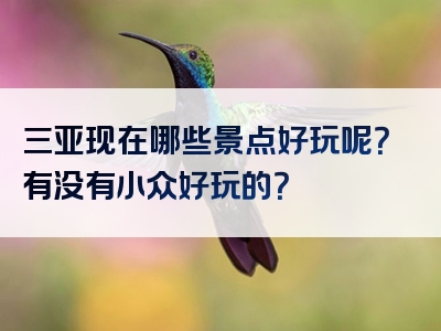 三亚现在哪些景点好玩呢？有没有小众好玩的？