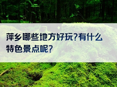 萍乡哪些地方好玩？有什么特色景点呢？