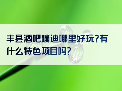 丰县酒吧蹦迪哪里好玩？有什么特色项目吗？