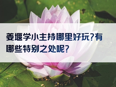 姜堰学小主持哪里好玩？有哪些特别之处呢？