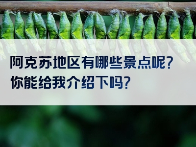 阿克苏地区有哪些景点呢？你能给我介绍下吗？