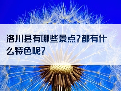 洛川县有哪些景点？都有什么特色呢？