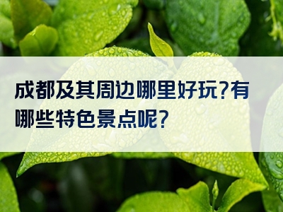 成都及其周边哪里好玩？有哪些特色景点呢？