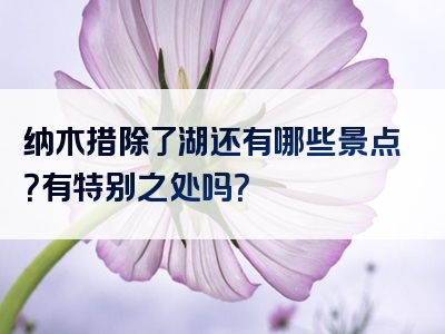 纳木措除了湖还有哪些景点？有特别之处吗？