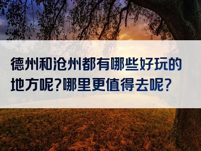 德州和沧州都有哪些好玩的地方呢？哪里更值得去呢？