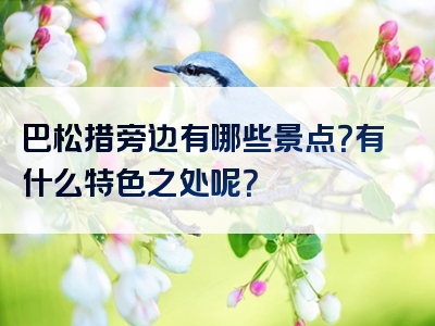 巴松措旁边有哪些景点？有什么特色之处呢？