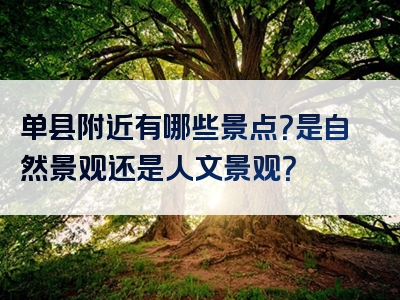 单县附近有哪些景点？是自然景观还是人文景观？