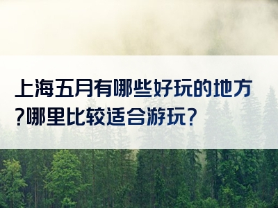 上海五月有哪些好玩的地方？哪里比较适合游玩？