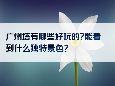 广州塔有哪些好玩的？能看到什么独特景色？