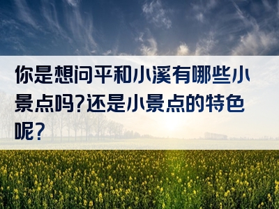 你是想问平和小溪有哪些小景点吗？还是小景点的特色呢？