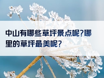 中山有哪些草坪景点呢？哪里的草坪最美呢？