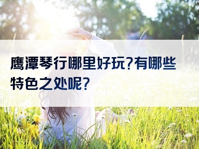 鹰潭琴行哪里好玩？有哪些特色之处呢？