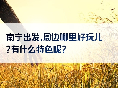 南宁出发，周边哪里好玩儿？有什么特色呢？