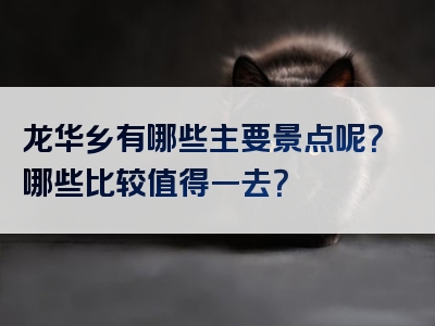 龙华乡有哪些主要景点呢？哪些比较值得一去？