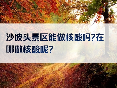 沙坡头景区能做核酸吗？在哪做核酸呢？