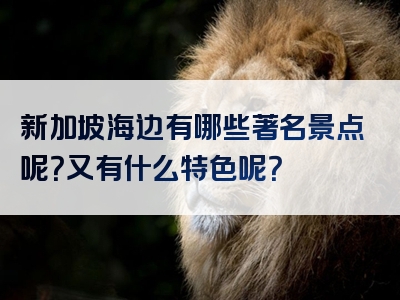 新加坡海边有哪些著名景点呢？又有什么特色呢？