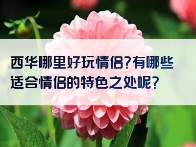 西华哪里好玩情侣？有哪些适合情侣的特色之处呢？