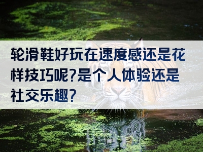 轮滑鞋好玩在速度感还是花样技巧呢？是个人体验还是社交乐趣？