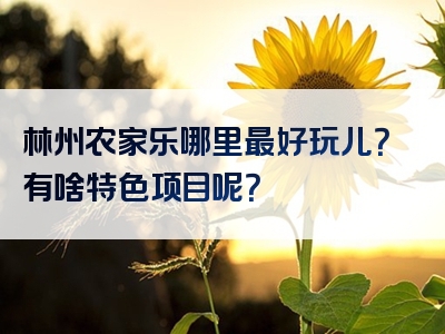 林州农家乐哪里最好玩儿？有啥特色项目呢？