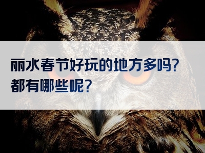 丽水春节好玩的地方多吗？都有哪些呢？