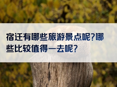 宿迁有哪些旅游景点呢？哪些比较值得一去呢？