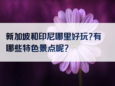 新加坡和印尼哪里好玩？有哪些特色景点呢？