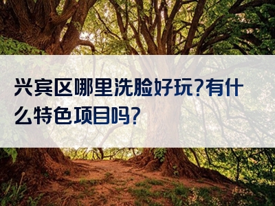 兴宾区哪里洗脸好玩？有什么特色项目吗？
