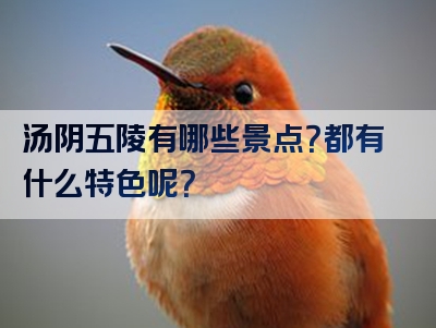 汤阴五陵有哪些景点？都有什么特色呢？