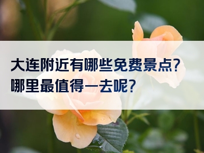 大连附近有哪些免费景点？哪里最值得一去呢？