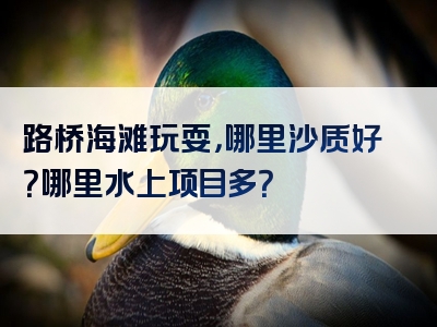 路桥海滩玩耍，哪里沙质好？哪里水上项目多？