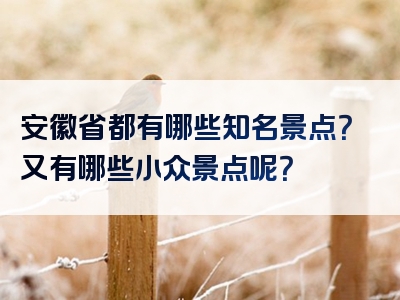 安徽省都有哪些知名景点？又有哪些小众景点呢？