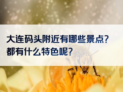 大连码头附近有哪些景点？都有什么特色呢？