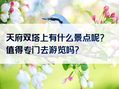 天府双塔上有什么景点呢？值得专门去游览吗？