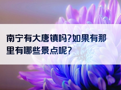 南宁有大唐镇吗？如果有那里有哪些景点呢？