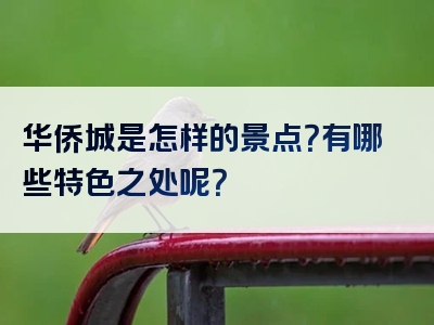 华侨城是怎样的景点？有哪些特色之处呢？