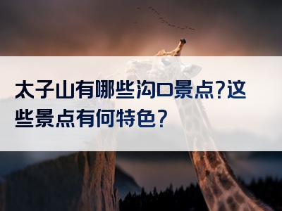 太子山有哪些沟口景点？这些景点有何特色？