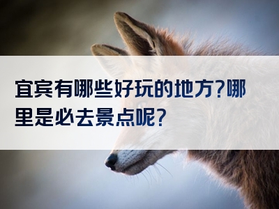 宜宾有哪些好玩的地方？哪里是必去景点呢？