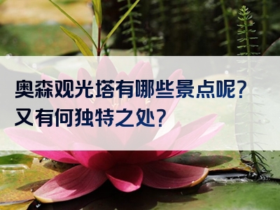 奥森观光塔有哪些景点呢？又有何独特之处？