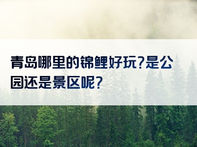 青岛哪里的锦鲤好玩？是公园还是景区呢？