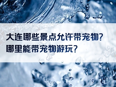 大连哪些景点允许带宠物？哪里能带宠物游玩？