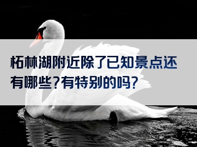 柘林湖附近除了已知景点还有哪些？有特别的吗？