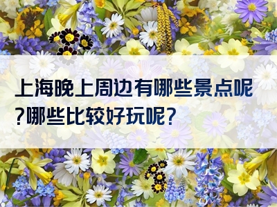 上海晚上周边有哪些景点呢？哪些比较好玩呢？