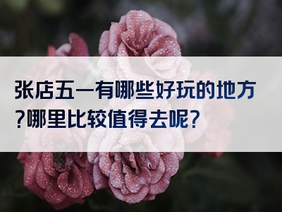 张店五一有哪些好玩的地方？哪里比较值得去呢？