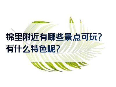 锦里附近有哪些景点可玩？有什么特色呢？