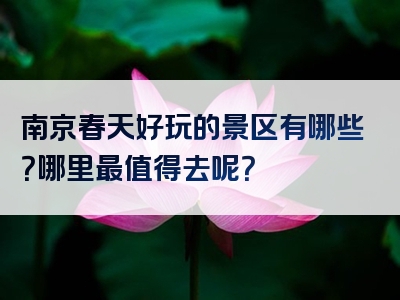南京春天好玩的景区有哪些？哪里最值得去呢？
