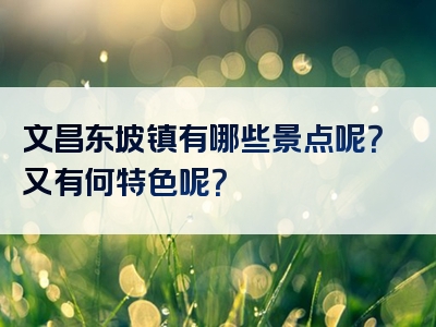 文昌东坡镇有哪些景点呢？又有何特色呢？